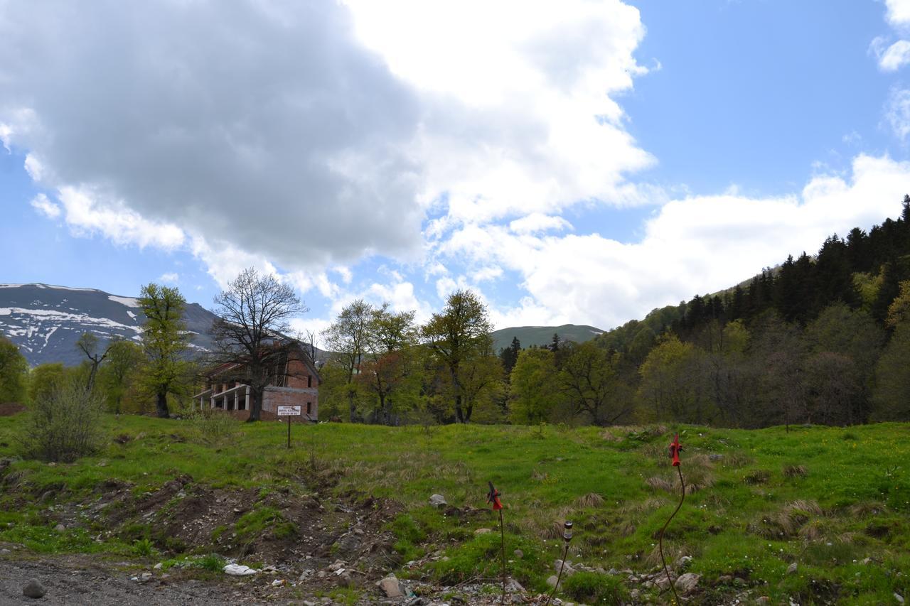 Orbi Palace Eleonora Bakuriani Exterior foto